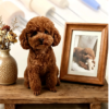 Custom brown poodle/ teddy dog wool felt statue, realistic handmade pet replica with photo frame display, personalized memorial keepsake