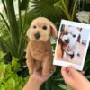 Custom light brown poodle/teddy dog wool felt statue, realistic handmade pet replica with photo comparison in a greenery setting