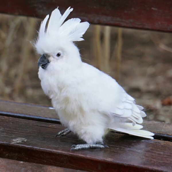 Needle Felted White Cockatoo Figurine, Handmade Wool Bird Statue Tabletop Decor