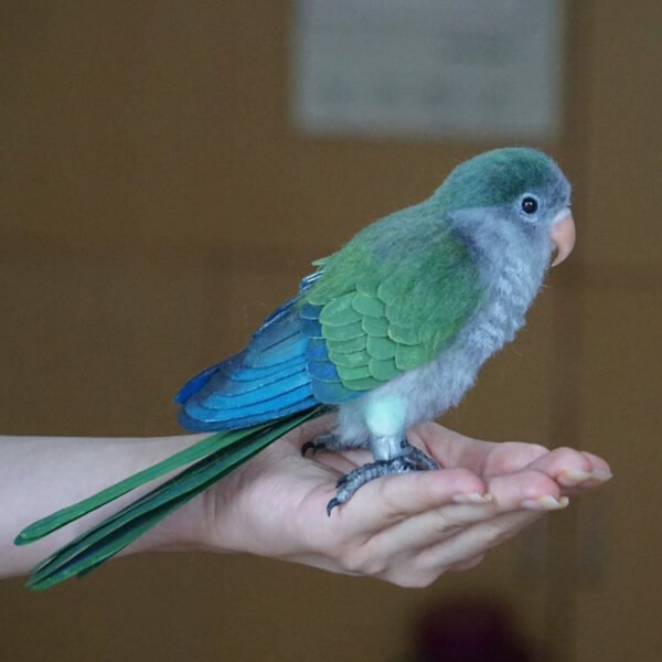 Needle Felted Green Cheek Conure Figurine Resting on Hand, Handmade Wool Parrot Keepsake Decor