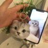 Hand needle felted shorthair cat portrait keyring, side-by-side shot with real cat photo on smartphone, personalized pet photo bag hanging charm, handmade sentimental keepsake gift for cat owners