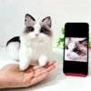 Personalized wool needle felting cat statue, before-and-after custom pet memorial craft display