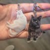 Personalized transparent acrylic pet keychain custom printed with cat photo, sentimental pet loss souvenir keyring for animal lovers