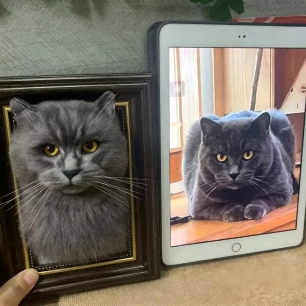 Custom handmade wool felt British Shorthair cat portrait frame, realistic pet memorial shadow box personalized from your cat’s photo, lifelike plush feline keepsake wall decor