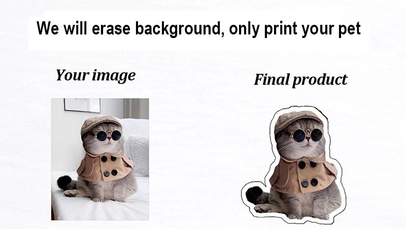 Comparison chart showing automatic background removal for custom acrylic pet keychain, original photo vs finished cutout product