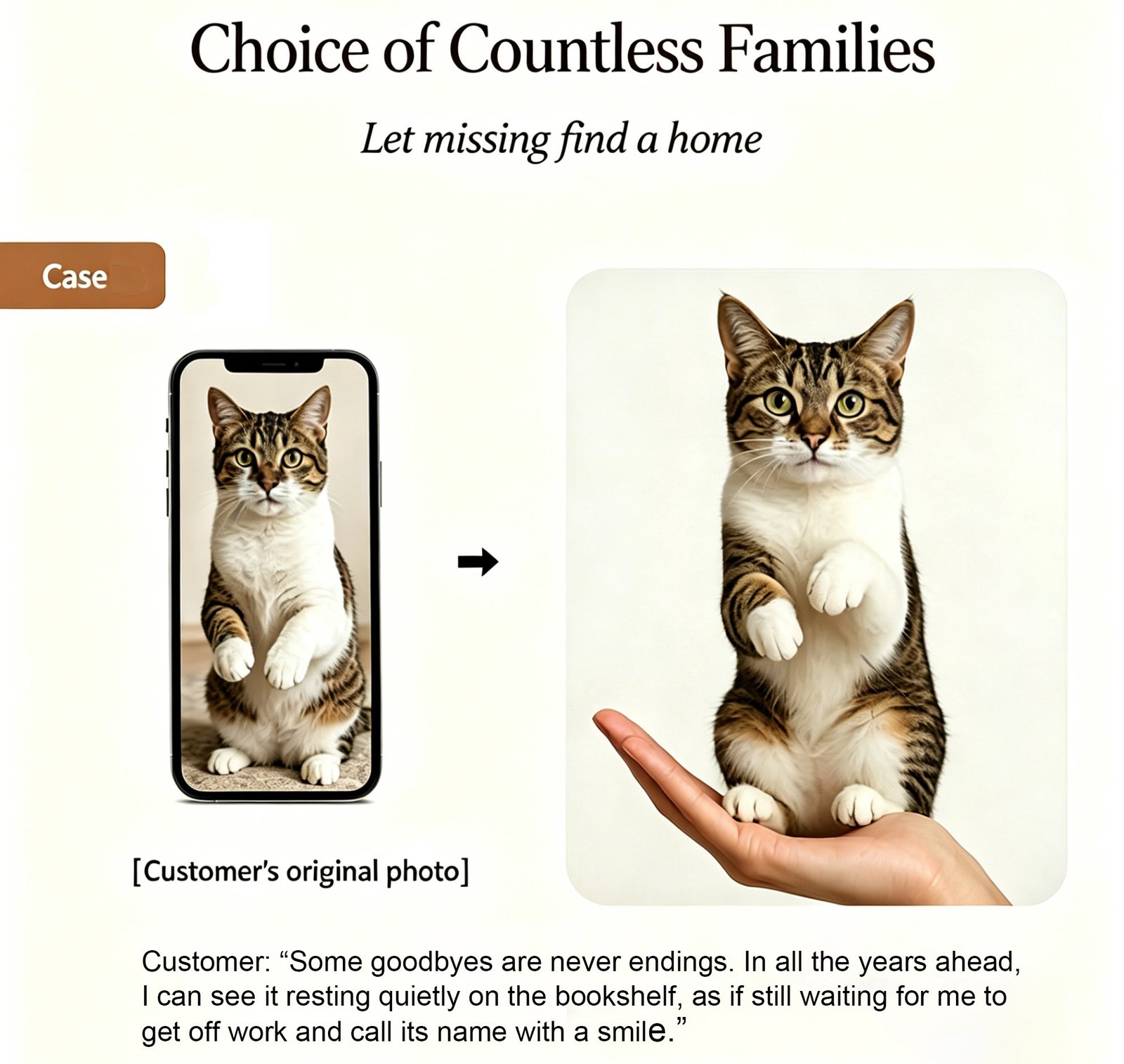 Custom needle felt full-body cat figurine sample showing before and after from customer's pet photo, handmade memorial pet keepsake
