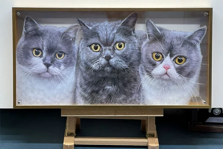 Custom Triple Grey British Shorthair Cat 3D Layered Acrylic Portrait, Solid Wood Framed Multi-Cat Pet Memorial Decor