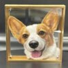 Custom Needle Felted Pet Portrait Frame,Custom Pet Portrait Hand-Painted Oil Painting,Hand Painted 3D Layered Acrylic Pet Portrait Frame