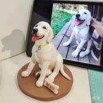 Custom 3D printed pet figurine made from photo, personalized pet sculpture
