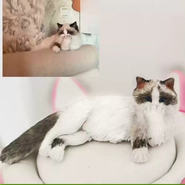 Custom polymer clay cat figurine on A2 heart-shaped base, handmade personalized pet sculpture from photo, free base option