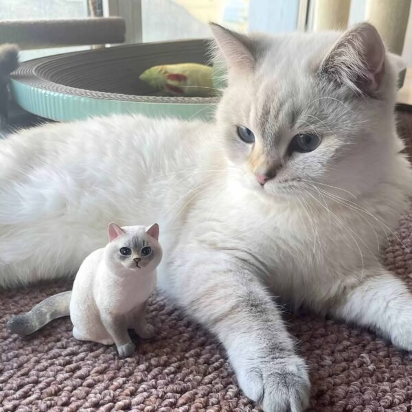 Custom 3D printed cat figurine, personalized pet sculpture made from photo