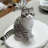 Custom 3D printed tabby cat figurine, personalized pet sculpture made from photo