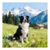 Custom Pet Portrait in Mountain Countryside Oil Painting Style - Dog or Cat Artwork