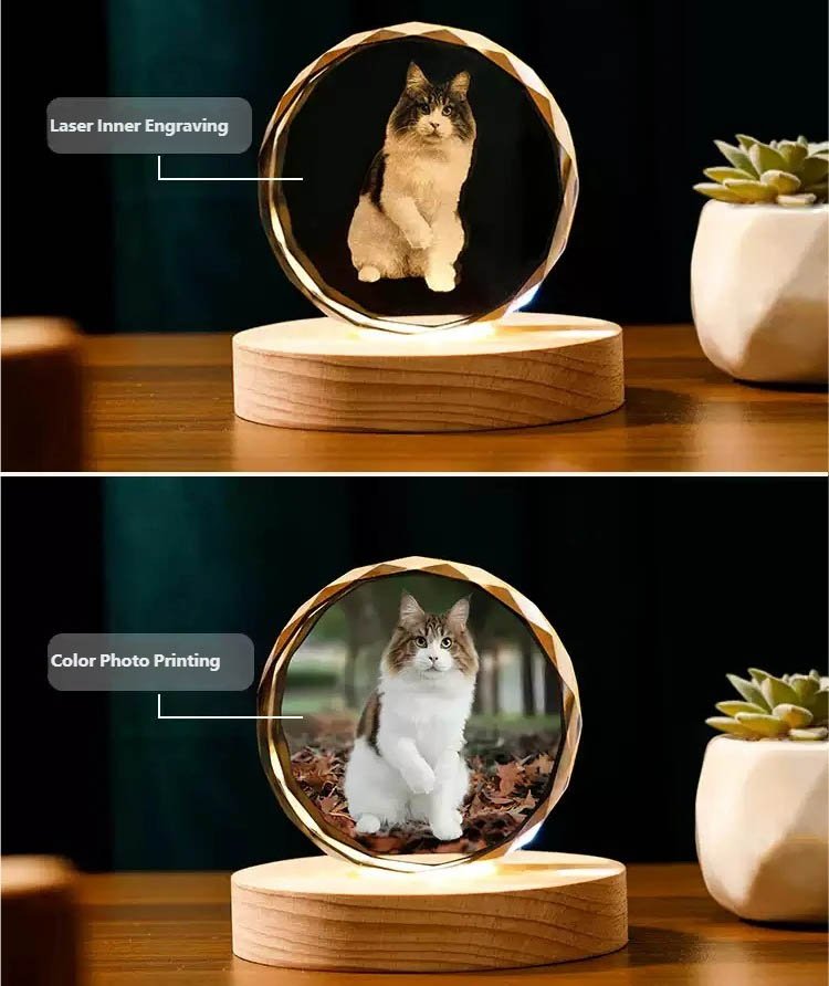 Custom Crystal Pet Night Light - Engraving vs Printing Comparison