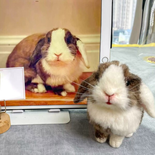 Custom handmade needle felt lop-eared rabbit figurine, personalized pet memorial statue crafted from customer photos