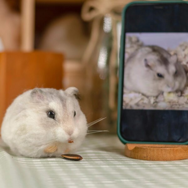 Handmade needle felt hamster figurine, custom pet keepsake statue made from your hamster’s photo