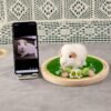Custom white dwarf hamster wool felt figurine on moss wooden base, personalized pet loss memorial craft from owner’s pet photo