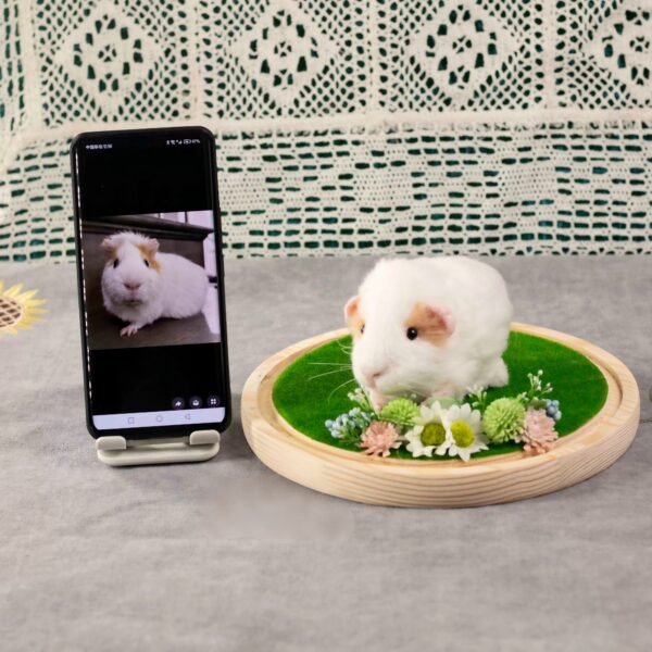 Custom white dwarf hamster wool felt figurine on moss wooden base, personalized pet loss memorial craft from owner’s pet photo
