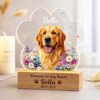 Custom dog memorial night light with vibrant flower border, personalized name and date, paw print acrylic lamp with wooden base, pet sympathy keepsake for dog loss