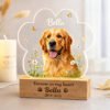 Personalized paw-shaped dog memorial night light, simple wildflower border, pet name and date, custom acrylic photo lamp for dog loss keepsake