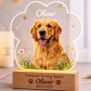 Pet memorial night light with personalized dog photo, delicate wildflower and butterfly design, paw print acrylic lamp, custom keepsake for dog lovers