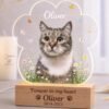 Personalized cat memorial night light, custom photo lamp with paw print acrylic, delicate wildflower border, keepsake sympathy gift for cat loss