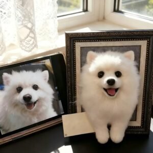 Custom Felt Pomeranian Pet Portrait Frame Custom needle felt Pomeranian dog portrait frame, handmade realistic pet memorial keepsake from your pet photo, personalized wool felt dog wall decor shadow box