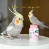 Needle Felted Cockatiel Figurine, Handmade Wool Parrot Statue Home Decor