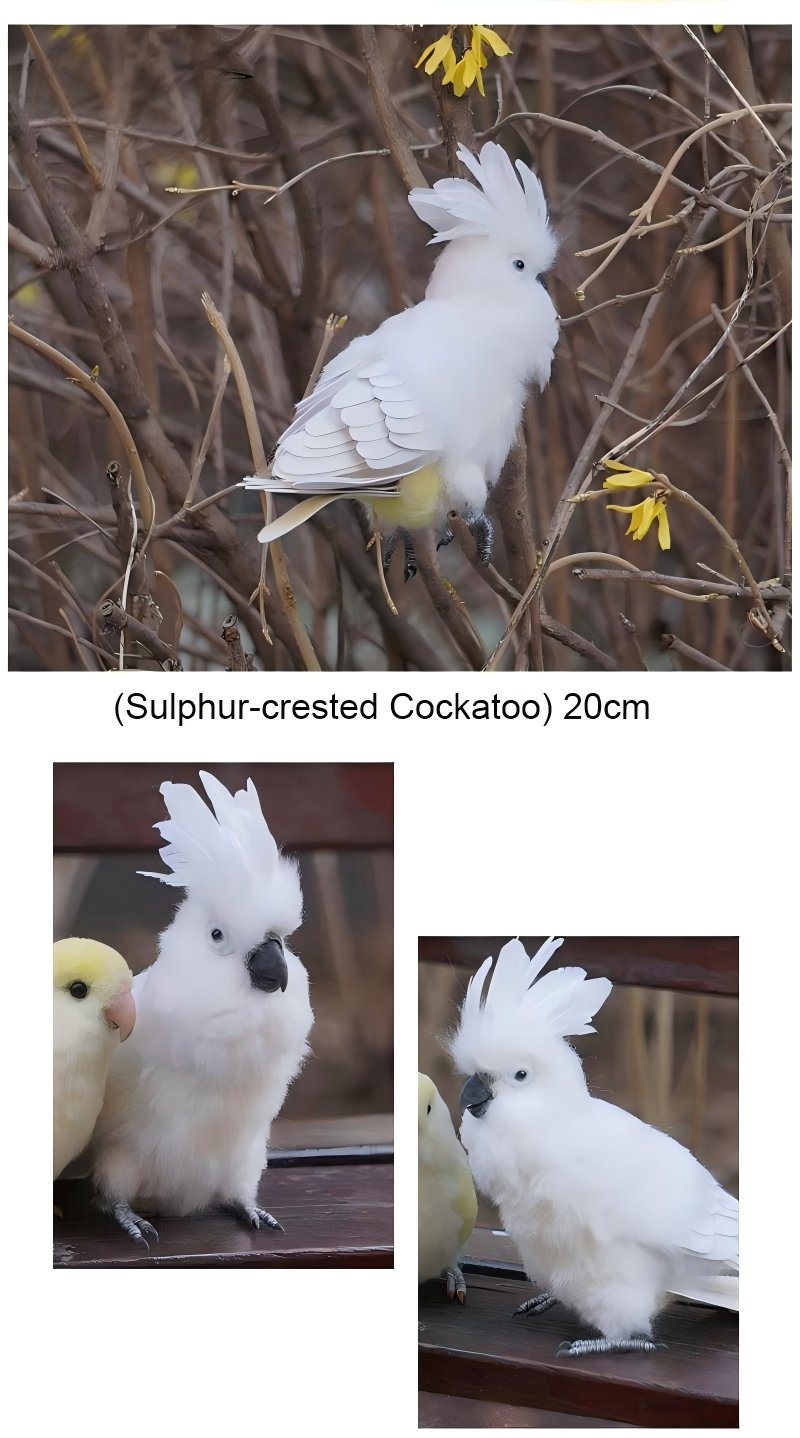 Needle Felted Sulphur Crested Cockatoo Figurine, Multi-angle White Wool Cockatoo Home Decor