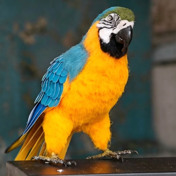 Needle Felted Blue-and-Gold Macaw Figurine, Handmade Wool Parrot Tabletop Statue Decor