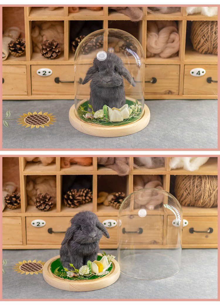 Custom dark gray lop rabbit wool felt figurine with glass dome, handmade pet memorial decor customized with your pet’s photo