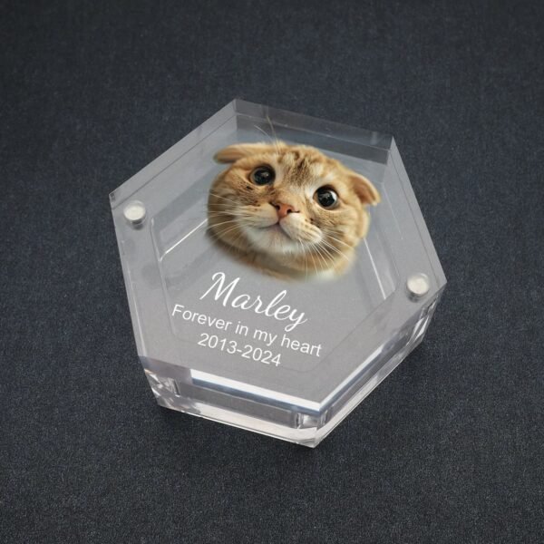 Custom Hexagonal Acrylic Pet Fur Keepsake Box, Engraved Cat Portrait Name Date Pet Hair Storage Memorial Box for Pet Loss