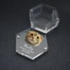 Open Hexagon Acrylic Pet Fur Keepsake Box, Custom Engraved Cat Photo Name Date Pet Hair Storage Memorial Box For Pet Loss Memory