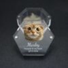 Open Hexagon Acrylic Pet Fur Keepsake Box, Custom Engraved Cat Photo Name Date Pet Hair Storage Memorial Box