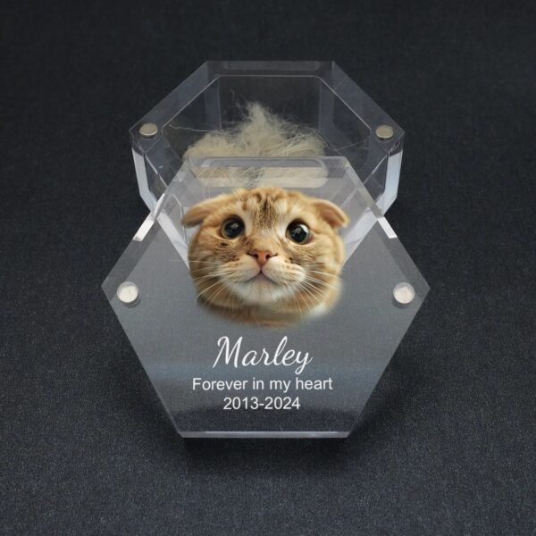 Open Hexagon Acrylic Pet Fur Keepsake Box, Custom Engraved Cat Photo Name Date Pet Hair Storage Memorial Box