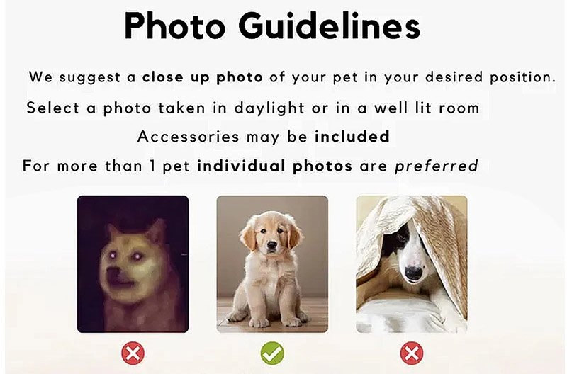 Personalized Pet Portrait Ceramic Coffee Mug, Custom Dog Cat Photo Name Tea Cup,Pet photo submission guidelines for custom portrait mug, clear reference chart showing qualified pet photos for personalized ceramic cup printing