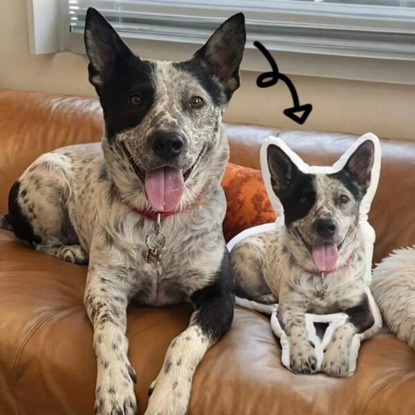 Lifestyle photo of custom 3D shaped dog plush pillow, personalized full body dog portrait memorial cushion on leather sofa
