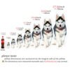 All size chart for custom 3D shaped pet pillow, dimension guide of personalized full body dog cat portrait plush pillow