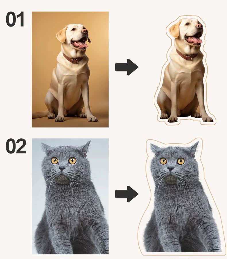 Custom pet photo pillow production standard comparison chart, complete clear dog cat portrait qualified image sample, avoid incomplete blurry pet photos for personalized memorial cushion customization