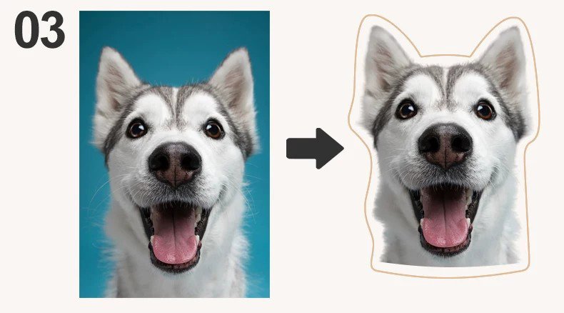 Custom pet photo pillow production standard comparison chart, complete clear dog cat portrait qualified image sample